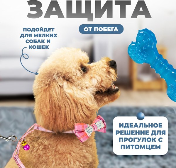 Шлея с поводком Solmax&Zoo MUZ99281 (розовый)