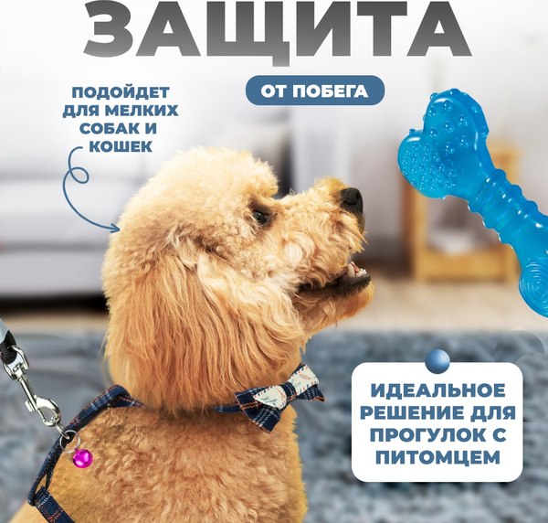 Шлея с поводком Solmax&Zoo MUZ99280 (синий)