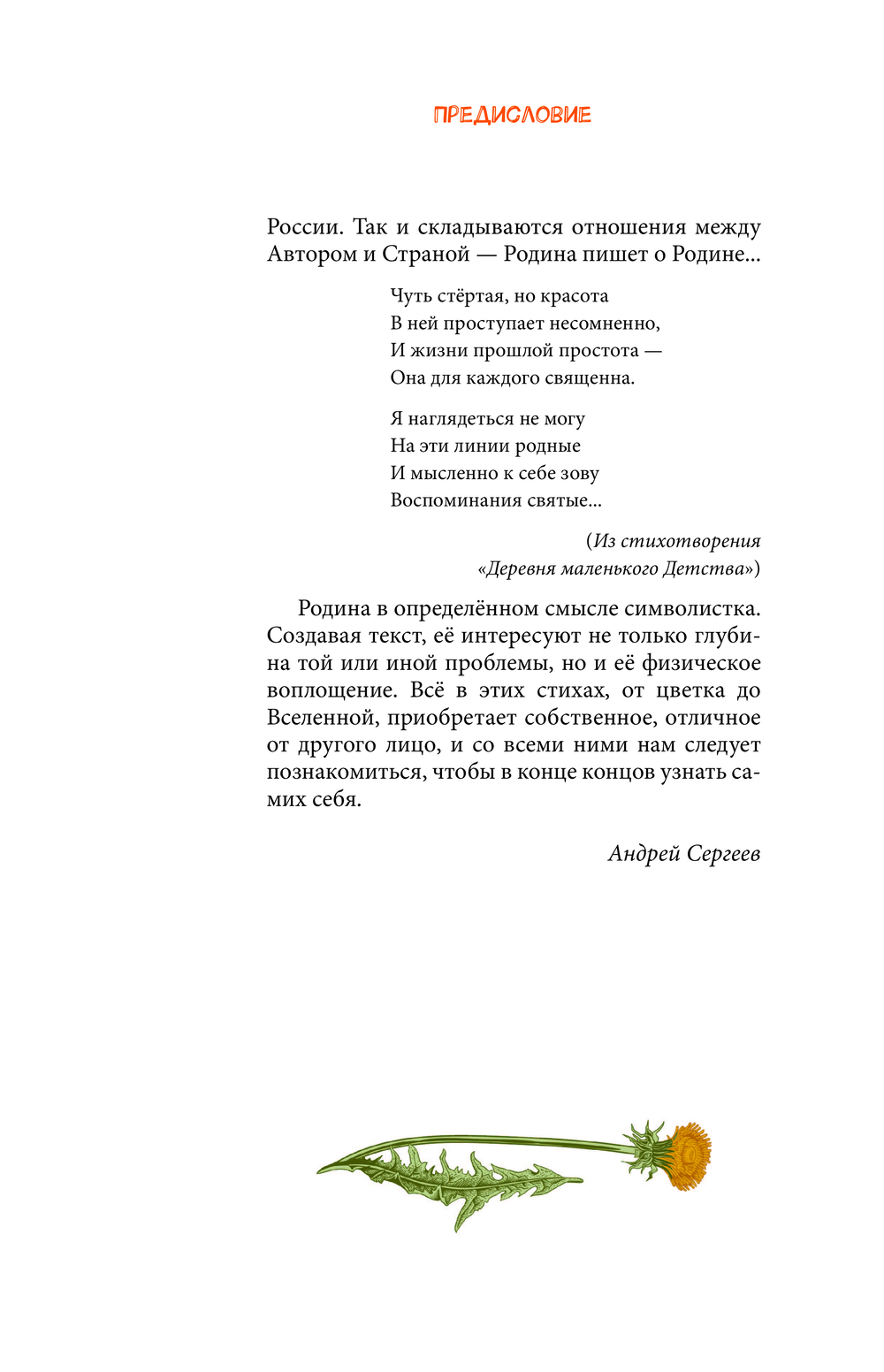 Художественная книга Эксмо Лисьей тропой к Мечте... Твердая обложка (Родина Алла) — фото 6