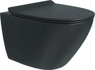 

Унитаз подвесной, Lina Pro Vorte / T40114