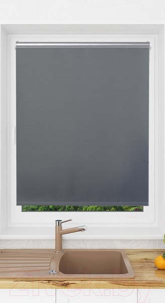Рулонная штора Lm Decor LM 68-10 140x170 (темно-серый)