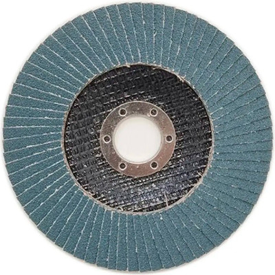 Шлифовальный круг FBT P80 D125 / 5949112580F - 