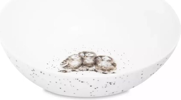 Салатник Royal Worcester Забавная фауна. Совята / WNB4078-XB/4