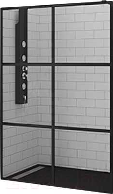 Душевая стенка RGW WA-11-B / 32101111-84 (110x200, прозрачное стекло/черный)