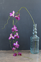 Искусственный цветок Orlix Орхидея / 06-081-O - 