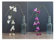 Искусственный цветок Orlix Орхидея / 06-081-O