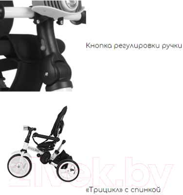 Трехколесный велосипед с ручкой Lorelli Enduro Eva Green / 10050410010