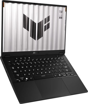 Игровой ноутбук Asus TUF Gaming A14 FA401UV-RG019 (90NR0JB1-M00130)