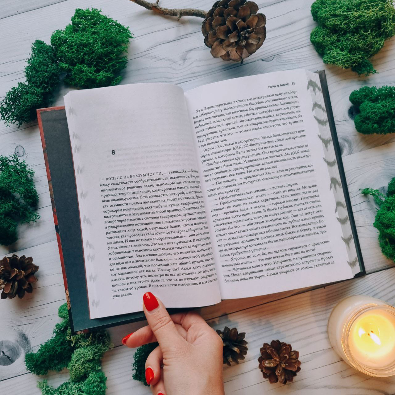 Художественная книга Fanzon Гора в море, твердая обложка (Нэйлер Рэй) — фото 2