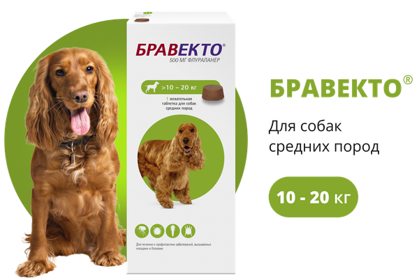 Таблетка от блох Бравекто Для собак от 10 до 20кг