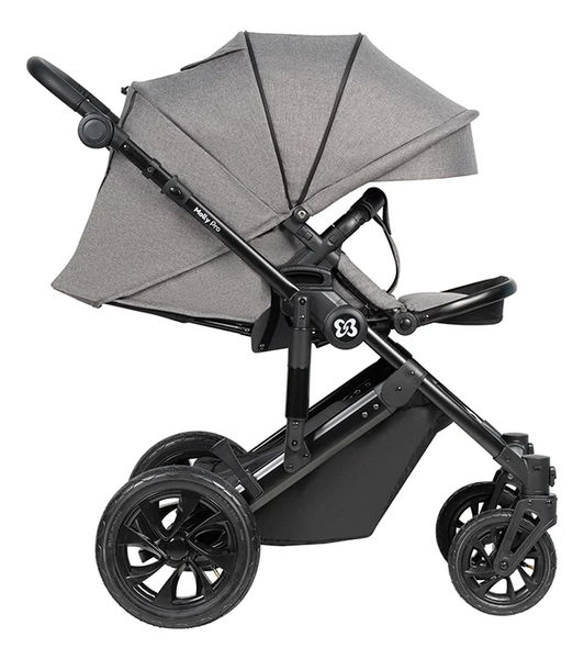 Детская универсальная коляска Farfello Molly Pro 3 в 1 MP-1 (серый)