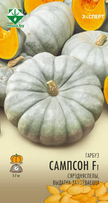 

Семена, Тыква. Сампсон Эксперт F1