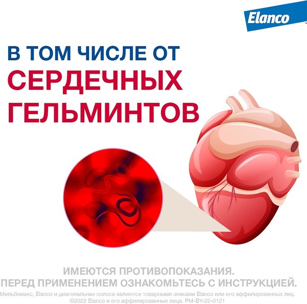 Таблетки от глистов Elanco Мильбемакс для крупных собак (2 таблетки)