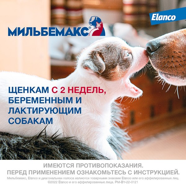 Таблетки от глистов Elanco Мильбемакс для крупных собак (2 таблетки)
