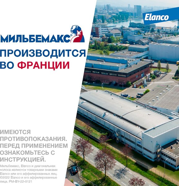 Таблетки от глистов Elanco Мильбемакс для крупных собак (2 таблетки)