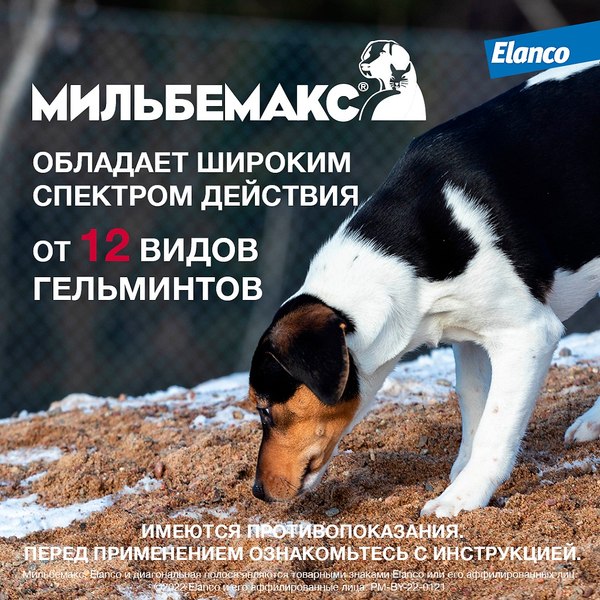 Таблетки от глистов Elanco Мильбемакс для крупных собак (2 таблетки)
