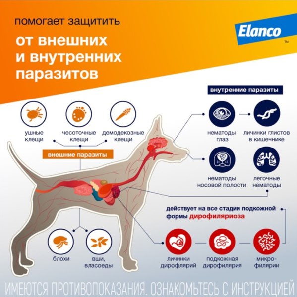 Капли от паразитов Elanco Адвокат для собак 10-25кг (3x2.5мл)