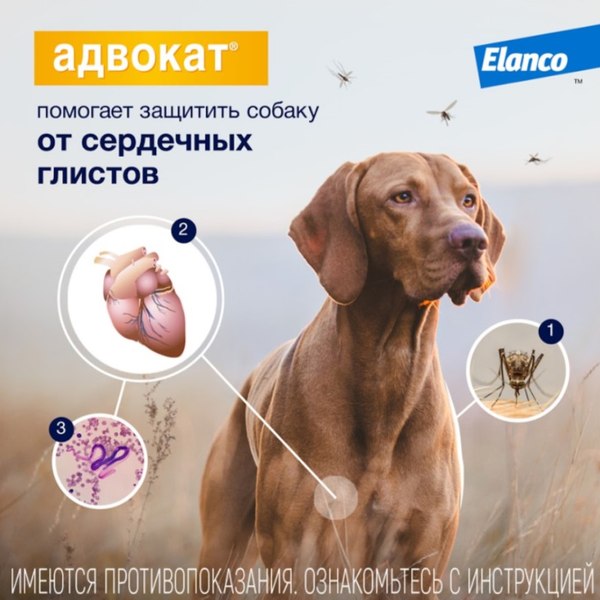 Капли от паразитов Elanco Адвокат для собак 10-25кг (3x2.5мл)