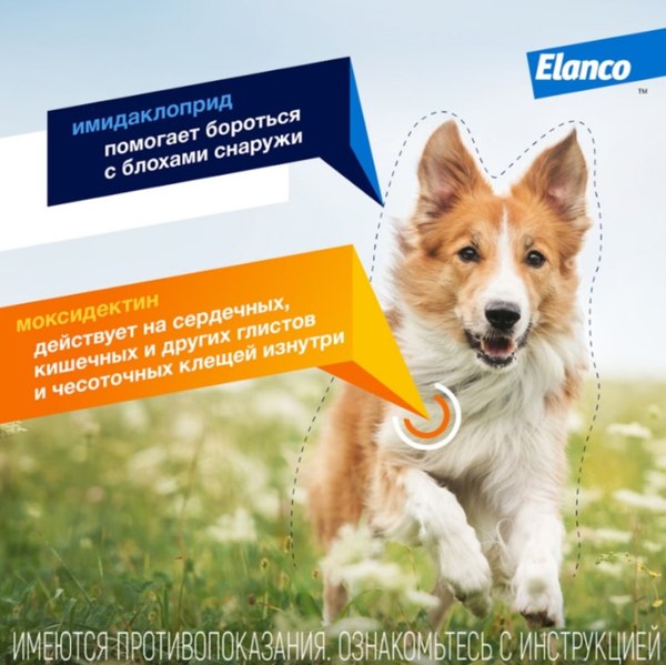 Капли от паразитов Elanco Адвокат для собак 10-25кг (3x2.5мл)