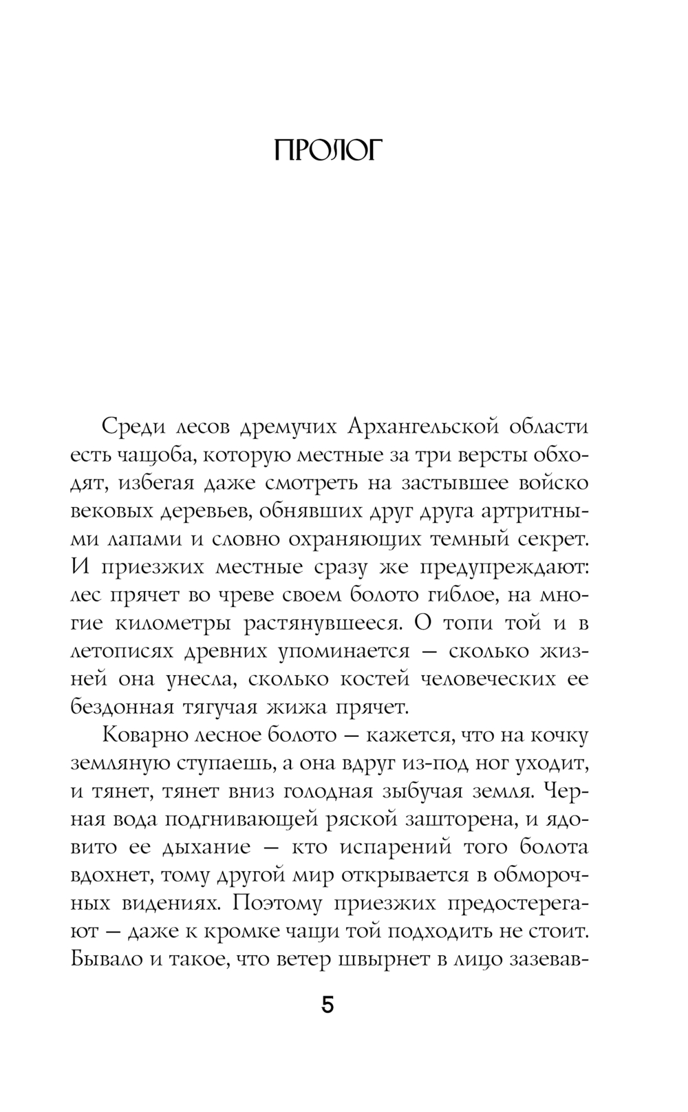 Художественная книга АСТ Болото, твердая обложка (Романова Марьяна) — фото 5