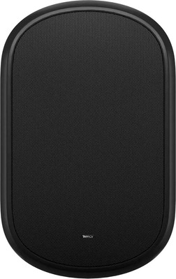 Настенная акустика Tannoy DVS 801 -