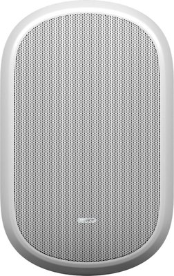 Настенная акустика Tannoy DVS 401-WH - 
