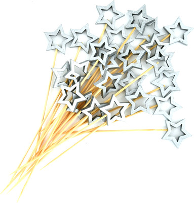 Набор шпажек для канапе Мультидом Звездочет VL80-593 (24шт, серебристый) - 