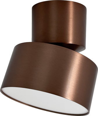 Спот Truenergy 11513 -