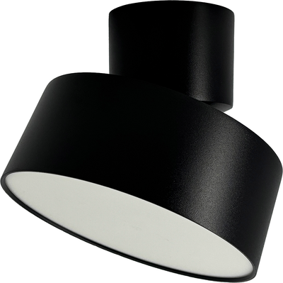 Спот Truenergy 11515 -