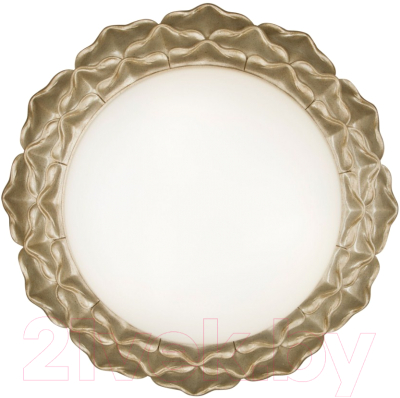 

Потолочный светильник Maytoni, Marte H012CL-04G