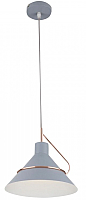 

Потолочный светильник Freya, Amis FR5025PL-01GR