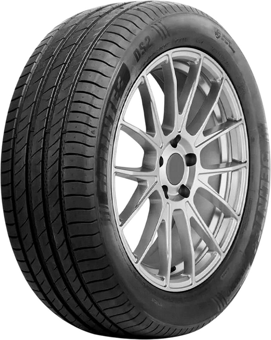 Летняя шина Delinte DS2 195/50R16 88V