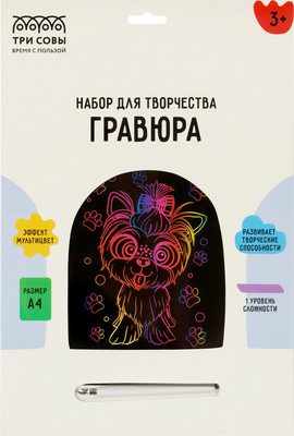 Гравюра Три совы Веселый Йорк / GA4_49931 - 