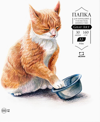 Набор бумаги для рисования Малевичъ GrafArt / 402320 (30л) -