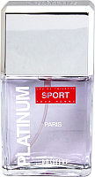 Туалетная вода Positive Parfum Platinum Sport (95мл) - 