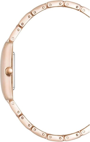 Часы наручные женские Anne Klein AK/5114SVRG