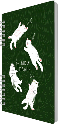 Тетрадь Listoff My Notes. Мои планы / ТПМН596141 (96л) -