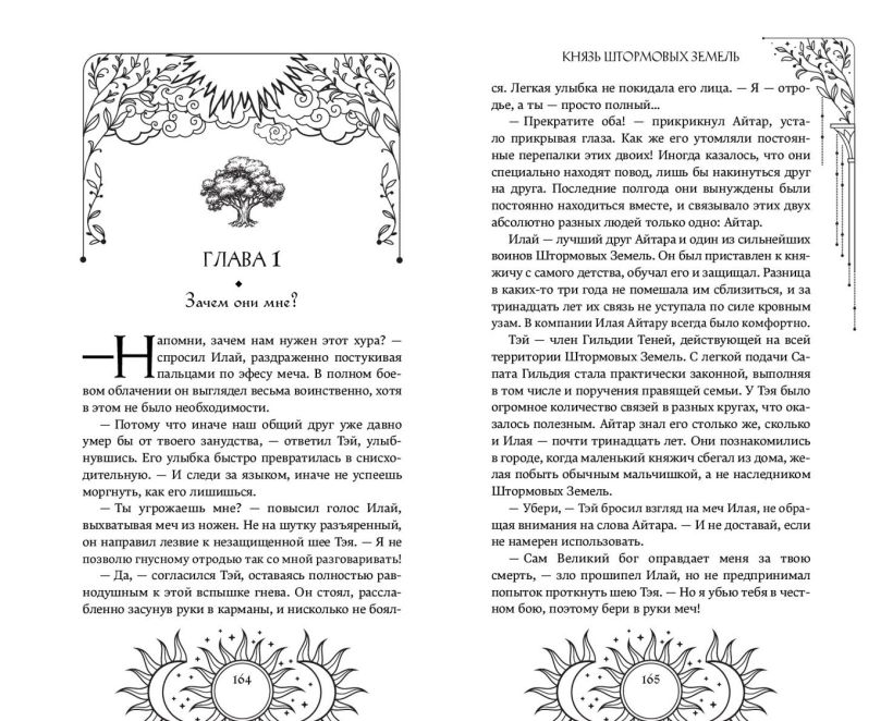 Художественная книга FreeDom Князь Штормовых Земель, твердая обложка (Соловьева Екатерина) — фото 5