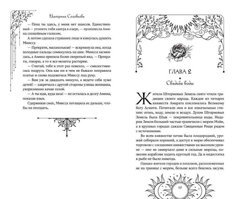 Художественная книга FreeDom Князь Штормовых Земель, твердая обложка (Соловьева Екатерина) — фото 2