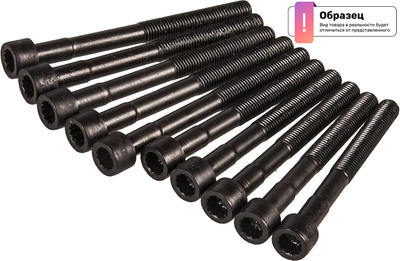 

Комплект болтов ГБЦ, BK9600