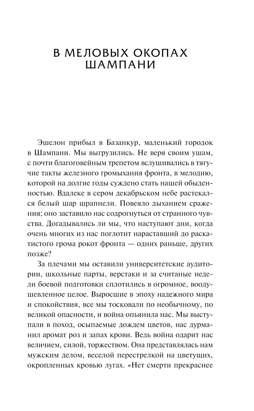 Художественная книга АСТ В стальных грозах, твердая обложка (Юнгер Эрнст) — фото 6