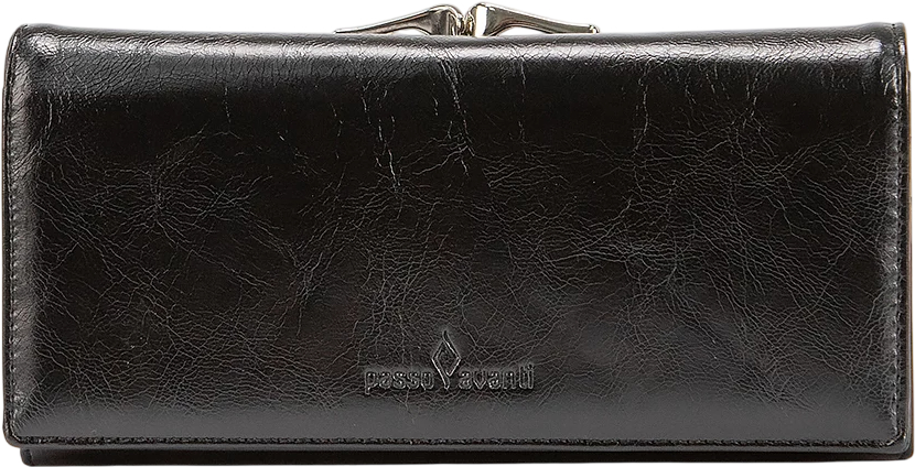 Портмоне Passo Avanti 519-6-2081-2311BLK (черный)