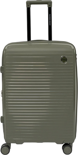 Чемодан на колесах Francesco Molinary 262-PP31/3-24DGN