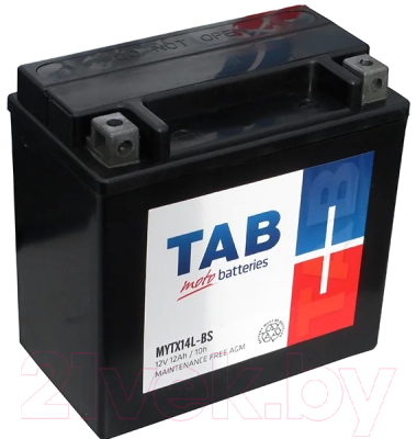 Мотоаккумулятор TAB YTX14L-BS / 324515 (12 А/ч)
