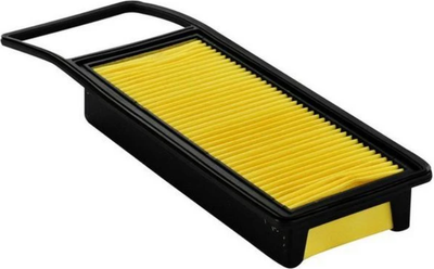 

Воздушный фильтр, 7101183SX