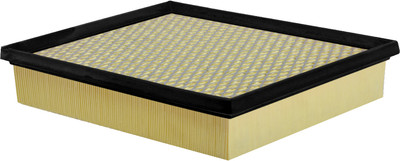 

Воздушный фильтр, A19950