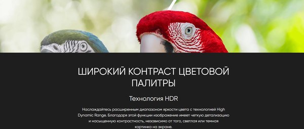 Телевизор Topdevice 55" TDTV55CQ08UBK