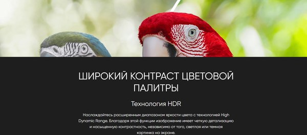 Телевизор Topdevice 55" TDTV55CQ09UBK