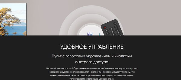 Телевизор Topdevice 55" TDTV55CQ09UBK
