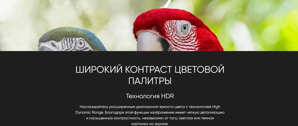 Телевизор Topdevice 55" TDTV55DQ08UBK (с саундбаром)